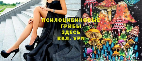 крисы Бронницы