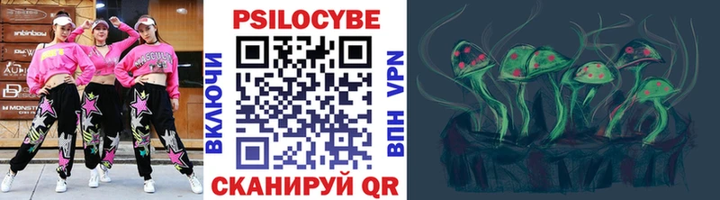 Галлюциногенные грибы Psilocybine cubensis  купить  цена  Катайск 